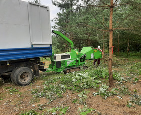 Medžių Pjovimas. Šakų Išvežimas, Kelmų Frezavimas. / UAB Danesa ir partneriai / Darbų pavyzdys ID 2940997