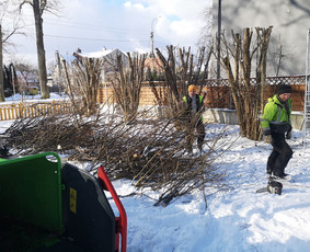 Medžių Pjovimas. Šakų Išvežimas, Kelmų Frezavimas. / UAB Danesa ir partneriai / Darbų pavyzdys ID 2941079