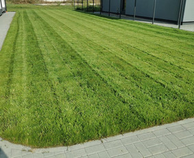 Žolės pjovimas, vejos priežiūra, apleistų sklypų tvarkymas. - Žolės pjovimas - 4 Žolės pjovimas - Žolės pjovimas, vejos priežiūra, apleistų sklypų tvarkymas. - 4