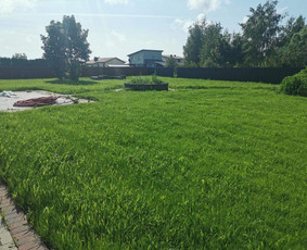 Žolės pjovimas, vejos priežiūra, apleistų sklypų tvarkymas. - Žolės pjovimas - 1 Žolės pjovimas - Žolės pjovimas, vejos priežiūra, apleistų sklypų tvarkymas. - 1