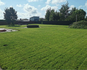 Žolės pjovimas, vejos priežiūra, apleistų sklypų tvarkymas. - Žolės pjovimas - 2 Žolės pjovimas - Žolės pjovimas, vejos priežiūra, apleistų sklypų tvarkymas. - 2