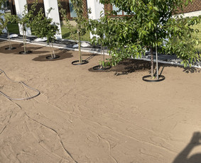 Vejos įrengimas .Augalų sodinimas. Trinkelių klojimas. - Vejos įrengimas: sėjimas, ruloninė veja - 3 Vejos įrengimas: sėjimas, ruloninė veja - Vejos įrengimas .Augalų sodinimas. Trinkelių klojimas. - 3