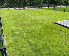 Vejos įrengimas .Augalų sodinimas. Trinkelių klojimas. - Vejos įrengimas: sėjimas, ruloninė veja - 4 Vejos įrengimas: sėjimas, ruloninė veja - Vejos įrengimas .Augalų sodinimas. Trinkelių klojimas. - 4