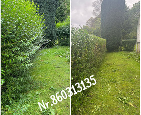 Vejos pjovimas-aplinkos priežiūra, tvarkymas. / Zigmas / Darbų pavyzdys ID 2943519