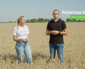 Filmavimas ir montavimas Šiauliuose ir Vilniuje - Renginiai, šventės - 2 Renginiai, šventės - Filmavimas ir montavimas Šiauliuose ir Vilniuje - 2