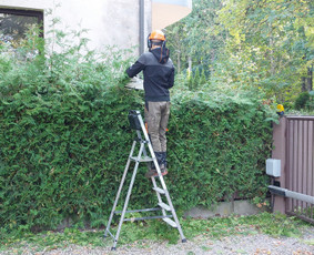 Žolės Pjovimas / Aplinkos Priežiūra / Mantas Ruginis / Darbų pavyzdys ID 2945710