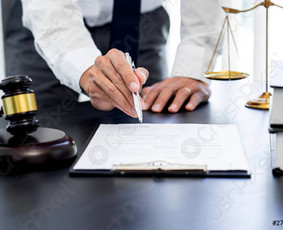 Profesionalios Teisinės Paslaugos / Tautvydas Džiautas / Darbų pavyzdys ID 2946014