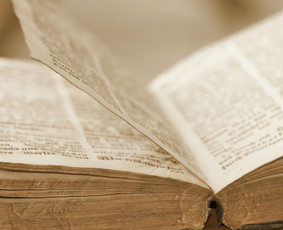 Profesionalios Teisinės Paslaugos - Buto nuomos sutartys - 3 Buto nuomos sutartys - Profesionalios Teisinės Paslaugos - 3