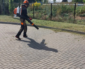 Žolės Pjovimas / Aplinkos Priežiūra / Mantas Ruginis / Darbų pavyzdys ID 2947832