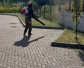 Žolės Pjovimas / Aplinkos Priežiūra / Mantas Ruginis / Darbų pavyzdys ID 2947834