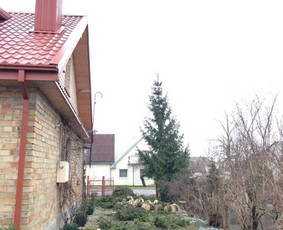 Eglės kirtimas šalia gyvenamojo namo bei tvoros. Kliento pageidavimu kamienas supjautas kaladėmis, šakos suskersuotos.