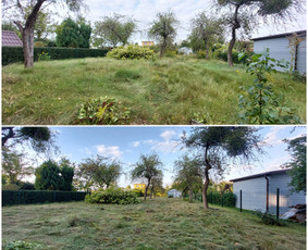 Žolės Pjovimas / Aplinkos Priežiūra / Mantas Ruginis / Darbų pavyzdys ID 2950758