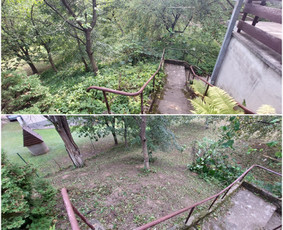 Žolės Pjovimas / Aplinkos Priežiūra / Mantas Ruginis / Darbų pavyzdys ID 2950766