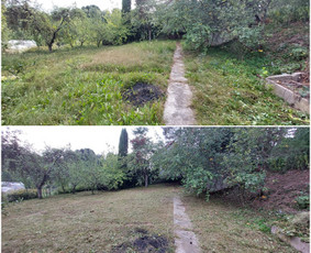 Žolės Pjovimas / Aplinkos Priežiūra / Mantas Ruginis / Darbų pavyzdys ID 2950768