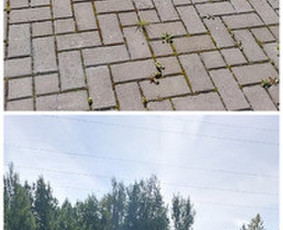 Žolės Pjovimas / Aplinkos Priežiūra / Mantas Ruginis / Darbų pavyzdys ID 2950772