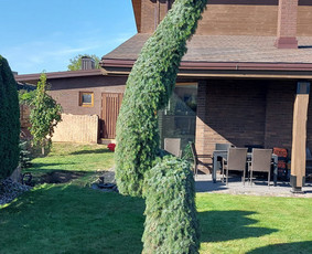 Žolės Pjovimas / Aplinkos Priežiūra / Mantas Ruginis / Darbų pavyzdys ID 2950780