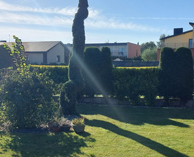 Žolės Pjovimas / Aplinkos Priežiūra / Mantas Ruginis / Darbų pavyzdys ID 2950782
