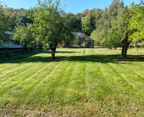 Žolės Pjovimas / Aplinkos Priežiūra / Mantas Ruginis / Darbų pavyzdys ID 2950790