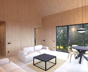 Interjero ir apšvietimo dizainerė / Akvilė Muliuolytė / Darbų pavyzdys ID 2952106