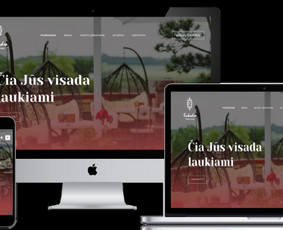 Internetinių svetainių ir parduotuvių kūrimas / Egidijus Stalmokas / Darbų pavyzdys ID 2953204
