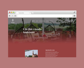 Internetinių svetainių ir parduotuvių kūrimas / Egidijus Stalmokas / Darbų pavyzdys ID 2953206