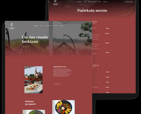 Programavimas su WordPress - Internetinių svetainių ir parduotuvių kūrimas - 1