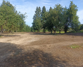 Statybinės technikos nuoma - Vikšrinio krautuvo nuoma - 4