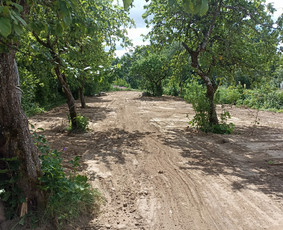 Statybinės technikos nuoma - Vikšrinio krautuvo nuoma - 1