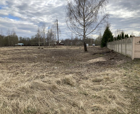 Pavojingų medžių pjovimas, aplinkos tvarkymas / Deividas Petryla / Darbų pavyzdys ID 2957460