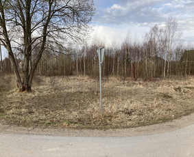 Pavojingų medžių pjovimas, aplinkos tvarkymas / Deividas Petryla / Darbų pavyzdys ID 2957462