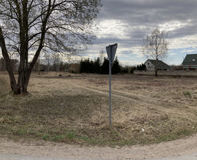 Pavojingų medžių pjovimas, aplinkos tvarkymas / Deividas Petryla / Darbų pavyzdys ID 2957464