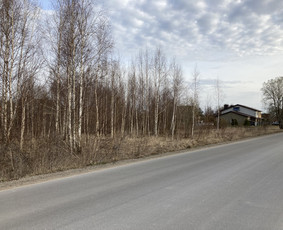 Pavojingų medžių pjovimas, aplinkos tvarkymas / Deividas Petryla / Darbų pavyzdys ID 2957466