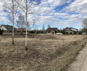 Pavojingų medžių pjovimas, aplinkos tvarkymas / Deividas Petryla / Darbų pavyzdys ID 2957468