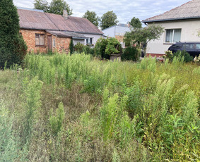 Pavojingų medžių pjovimas, aplinkos tvarkymas / Deividas Petryla / Darbų pavyzdys ID 2957720