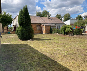 Pavojingų medžių pjovimas, aplinkos tvarkymas / Deividas Petryla / Darbų pavyzdys ID 2957722