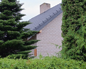 Naujų stogų montavimas, senų stogų renovacija. / Žilvinas Šnaras / Darbų pavyzdys ID 2958054