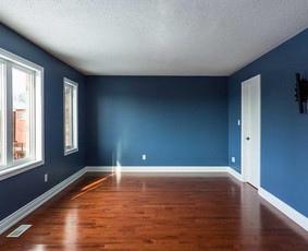 Vidaus apdaila - Sienų dažymas - 1 Sienų dažymas - Vidaus apdaila - 1