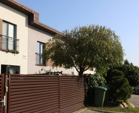 Vaismedžių/medžių genėjimas, gyvatvorių karpymas, šienavimas / Pavelas / Darbų pavyzdys ID 2962912