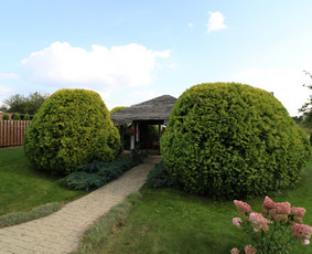 Vaismedžių/medžių genėjimas, gyvatvorių karpymas, šienavimas / Pavelas / Darbų pavyzdys ID 2962918