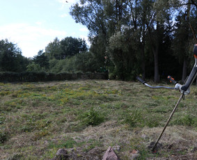 Vaismedžių/medžių genėjimas, gyvatvorių karpymas, šienavimas / Pavelas / Darbų pavyzdys ID 2962926