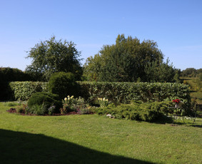 Vaismedžių/medžių genėjimas, gyvatvorių karpymas, šienavimas / Pavelas / Darbų pavyzdys ID 2962930