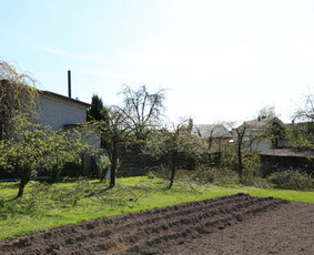 Vaismedžių/medžių genėjimas, gyvatvorių karpymas, šienavimas / Pavelas / Darbų pavyzdys ID 2962944