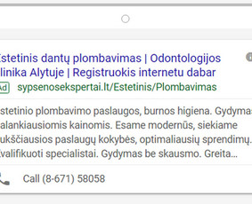 Slowburn Scaling. Meta Ads, Google Ads, konsultacijos - Google Ads reklama - 3 Google Ads reklama - Slowburn Scaling. Meta Ads, Google Ads, konsultacijos - 3