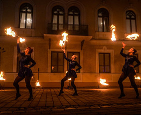Fakyrų ugnies šou / Ugnies teatras / Darbų pavyzdys ID 550187
