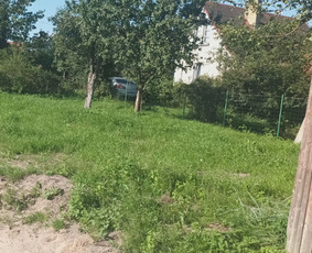 Visi griovimo-kasimo,išvežimo darbai / Tomas / Darbų pavyzdys ID 2964368