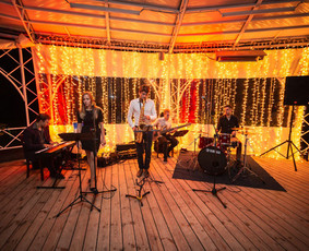 Instrumentinė muzika renginiams - Saksofonistas Vilius. Profesionalių muzikantų grupė - 1