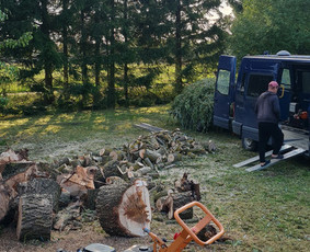 Kelmų naikinimas, medžiu pjovimas. Prieinamesnės kainos. - Šakų išvežimas - 1 Šakų išvežimas - Kelmų naikinimas, medžiu pjovimas. Prieinamesnės kainos. - 1