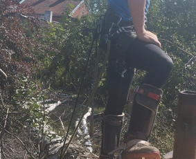 Avariniu medžių pjovimas, vaismedžių genejimas. / Aplinkos tvarkymas / Darbų pavyzdys ID 2968892