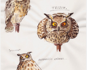 Įvairaus pobūdžio iliustracijos - Mados iliustracija - 3 Mados iliustracija - Įvairaus pobūdžio iliustracijos - 3