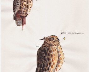 Įvairaus pobūdžio iliustracijos - Mados iliustracija - 4 Mados iliustracija - Įvairaus pobūdžio iliustracijos - 4